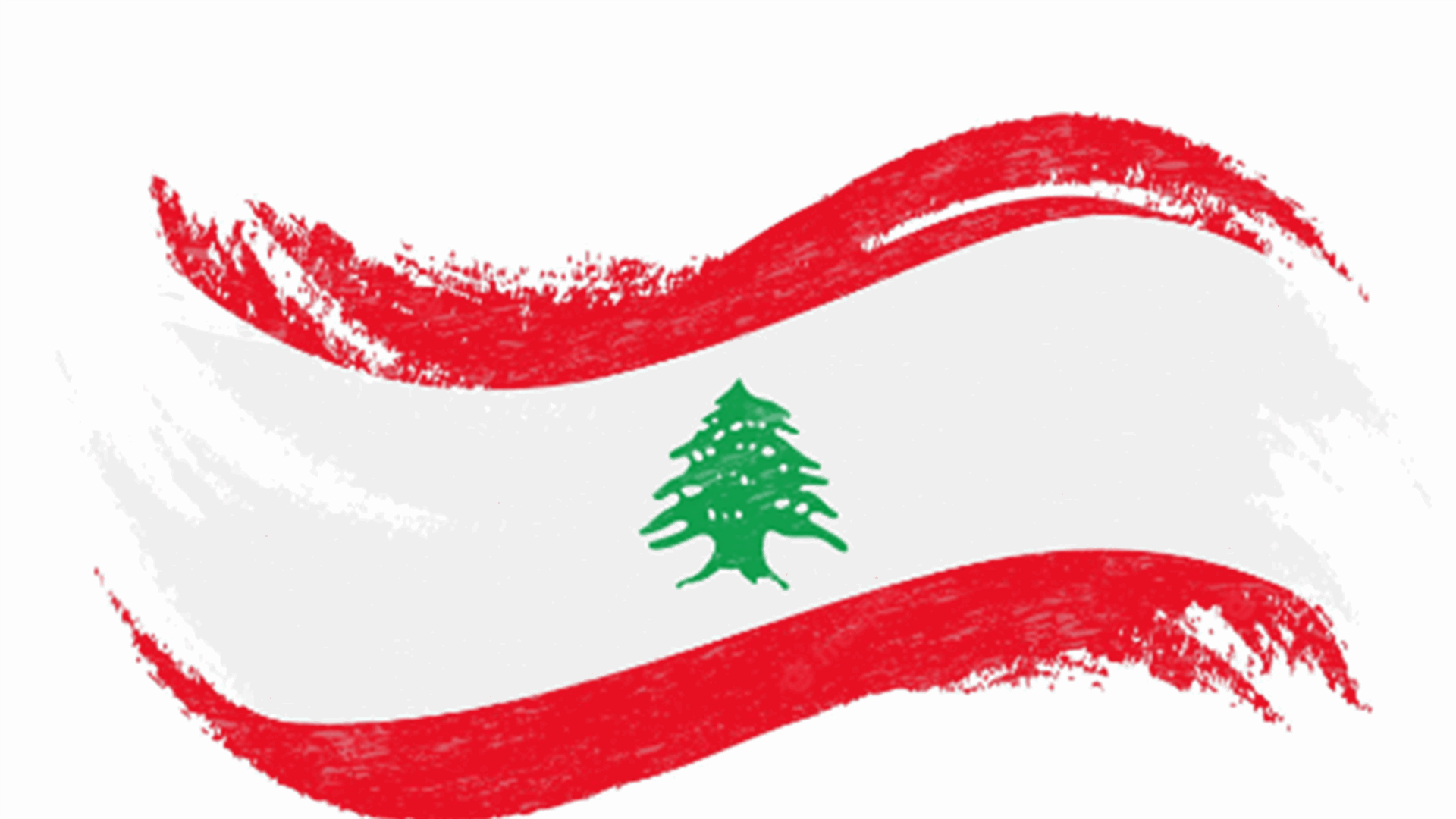 Lebanese artist depicts vivid art mirroring Lebanon&#39;s crisis
