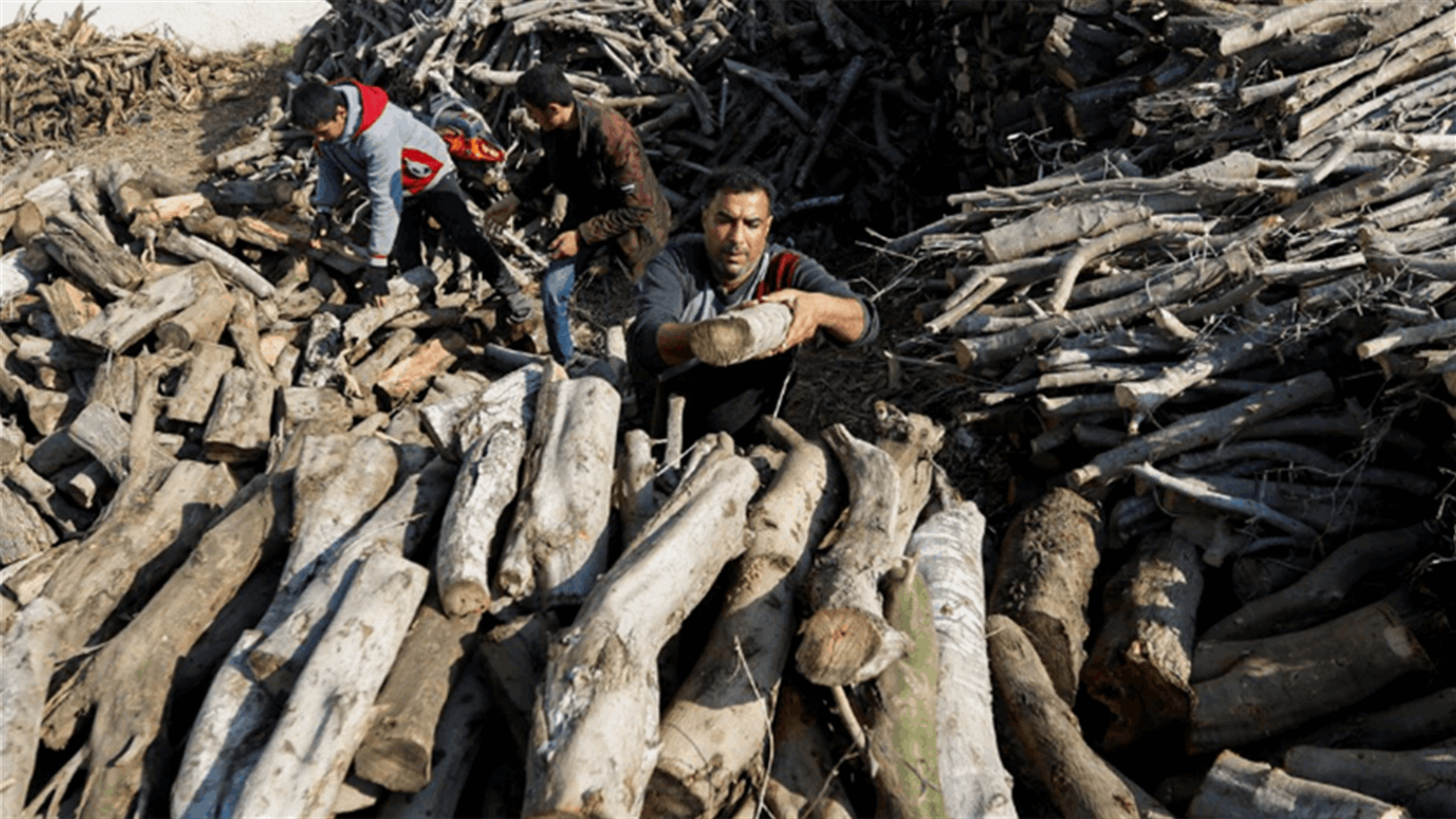 Gazans turns to firewood as energy prices soar