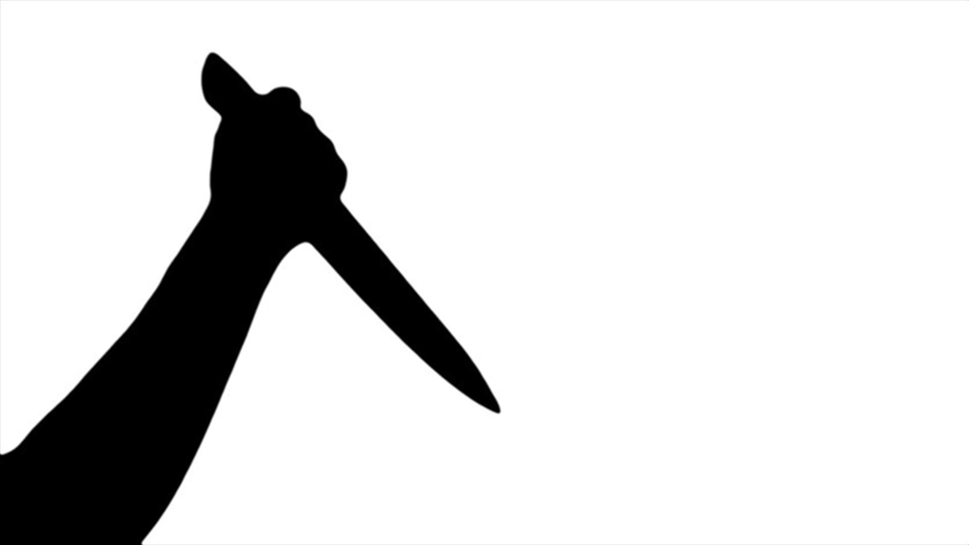 جدة تواجه تهمة القتل... توفي حفيدها بعد تعرّضه للطعن!