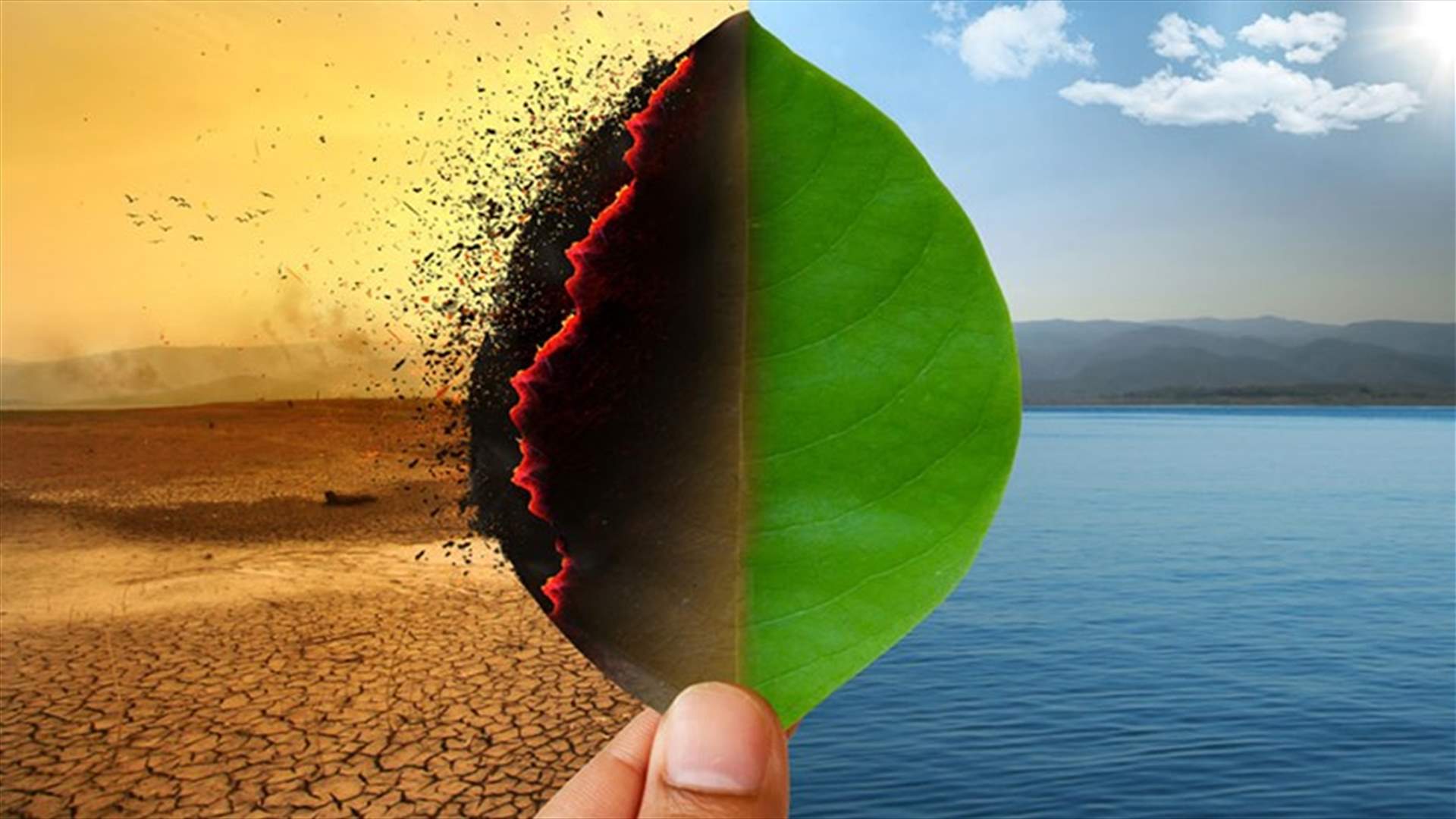 Climate change saves Europe from energy crisis
