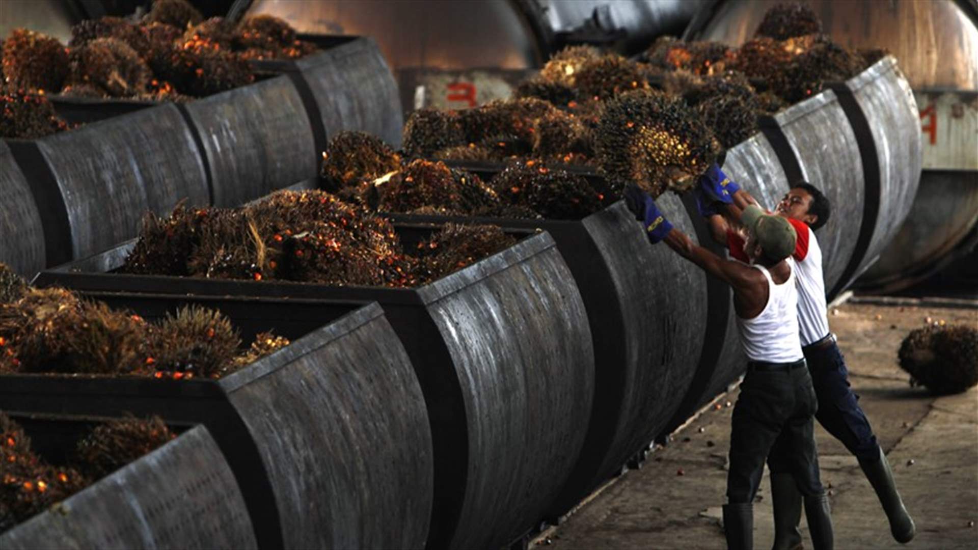 Malaysia says it could stop palm oil exports to EU after new curbs