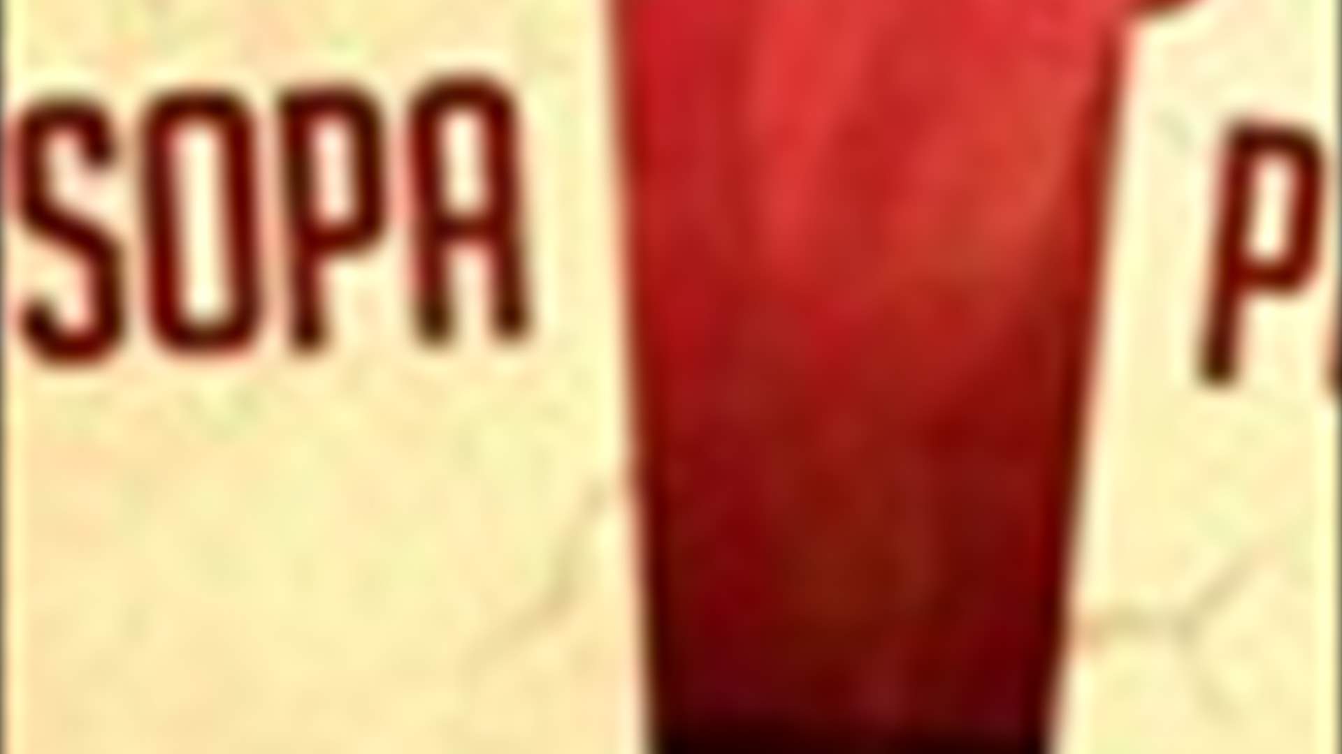 Fady Roumieh: SOPA and the other PIPA