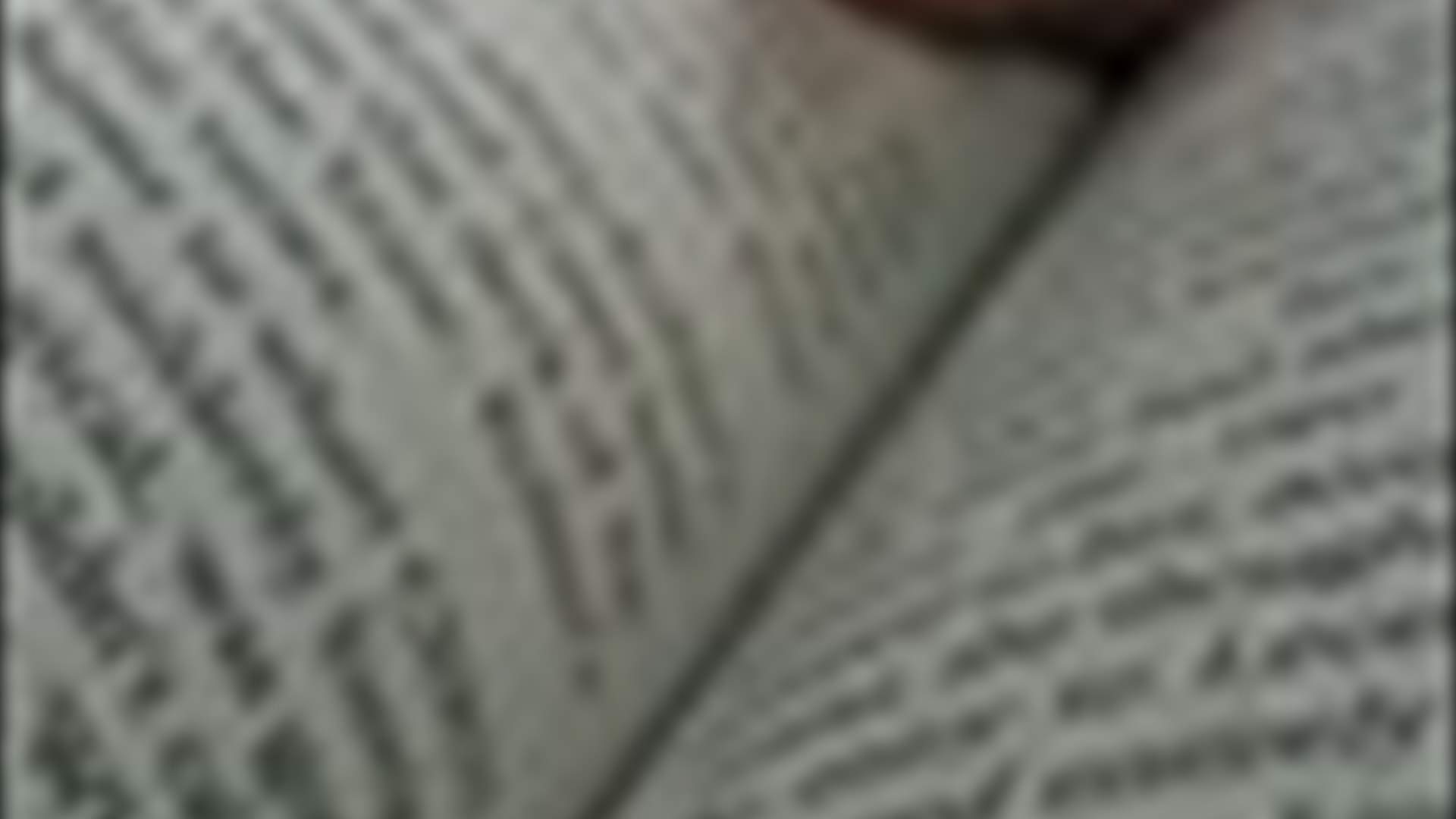 Farah Aridi: What have you been reading lately?