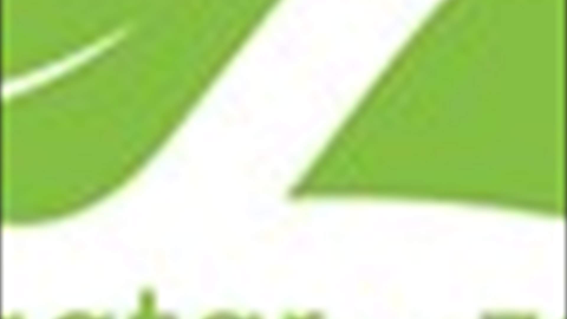 Oh God not the ZwZ debate…again…