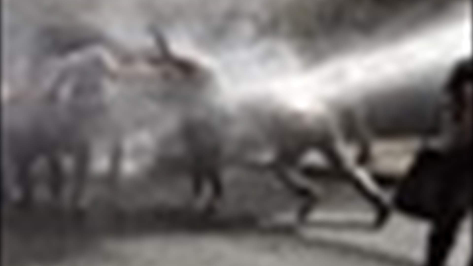 Video depicting extremely violent police brutality against Turkish protesters