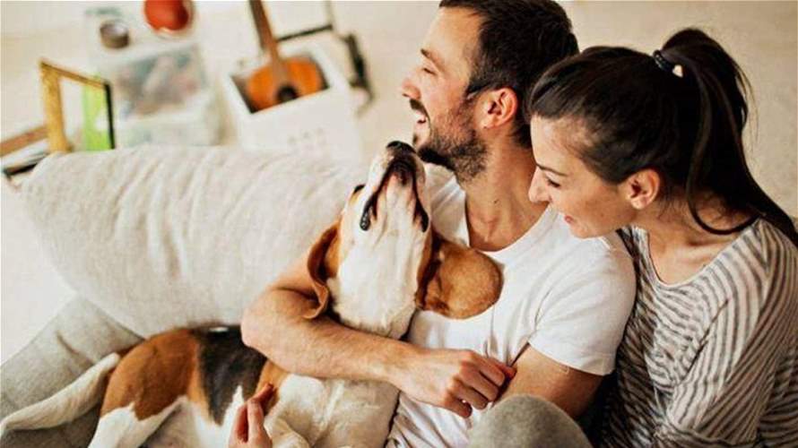 Dog custody: Spain to consider pets welfare in divorce battles