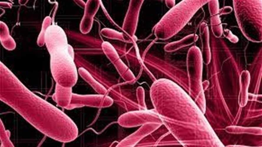 Health Ministry: 23 new Cholera cases, no new deaths