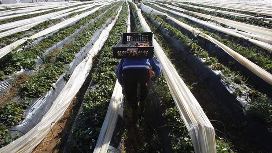 Morocco's economy to grow 3.3% in 2023 - statistics agency