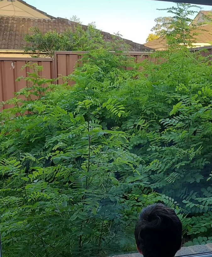 بعد رحلة سياحية جميلة... عاد إلى منزله لكن المشهد كان صادما! (صورة)