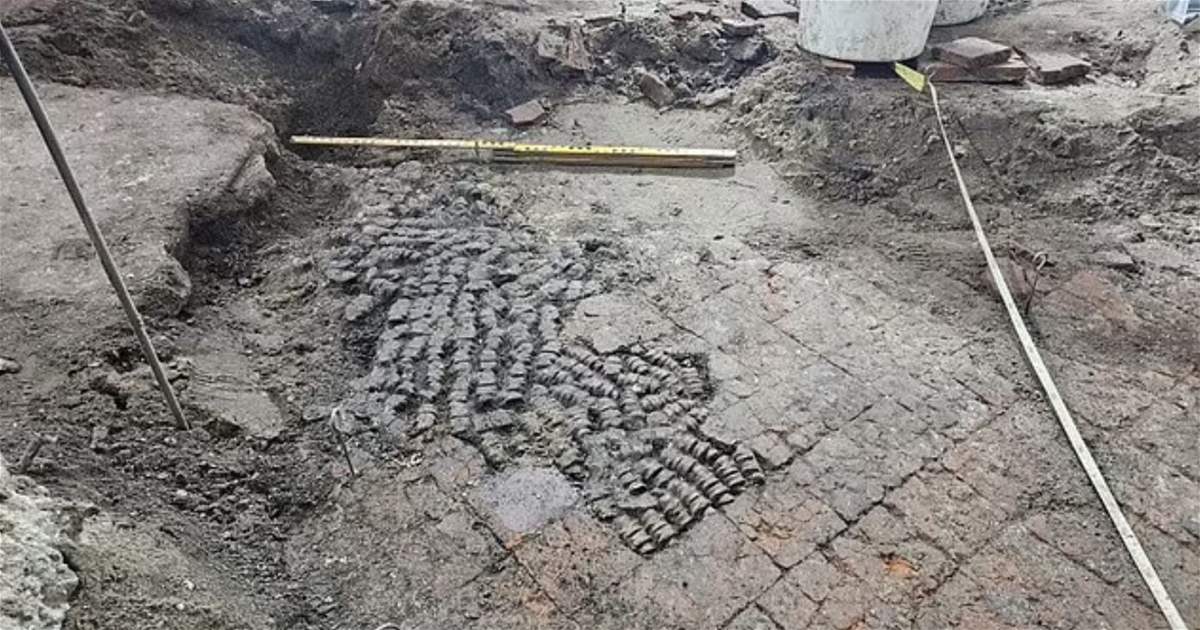 أرضية غامضة مصنوعة من العظام... اكتشاف مذهل بانتظار الخبراء في هولندا (صور)