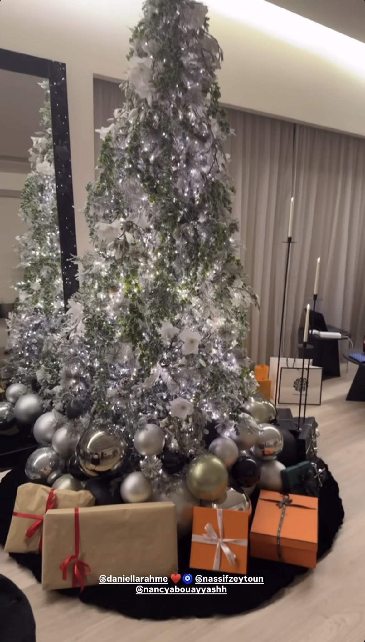 ناصيف زيتون ودانييلا رحمة يحتفلان بأول عيد ميلاد كزوجين بحضور العائلة (صور)