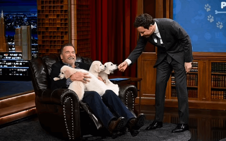 أرنولد شوارزنيغر في تصريح صادم: أطعم أحفادي الكعكات التي أقدمها لحيواناتي الأليفة (صور)