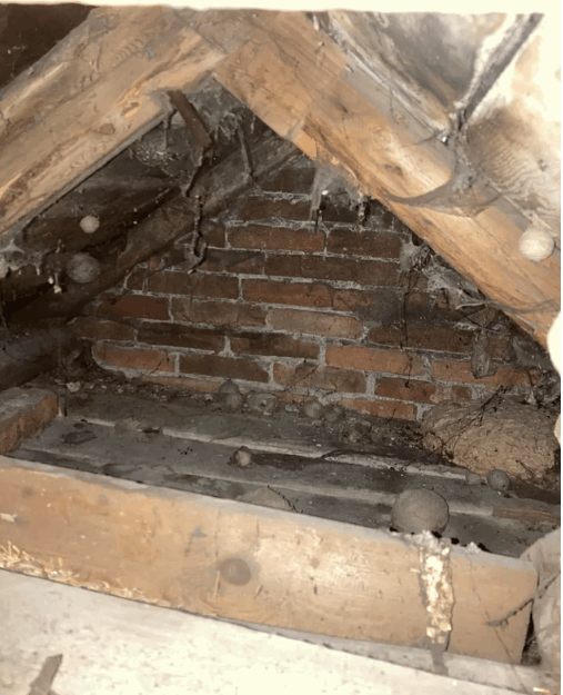 بعد أن عاش 25 سنة في منزله... اكتشف علية مخيفة بالصدفة وهذا ما عثر عليه بداخلها! (صور)