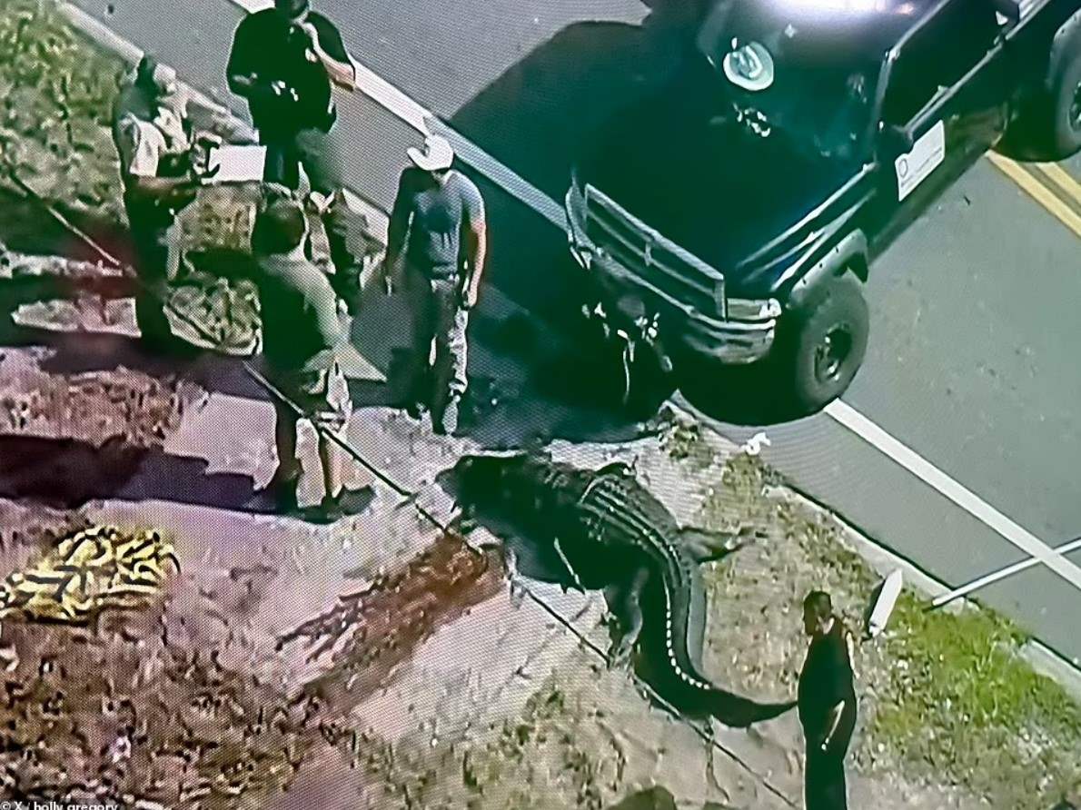 تمساح ضخم يلتهم أما بلا مأوى في هذا البلد: لقطات مرعبة توثق الهجوم المميت (صور)