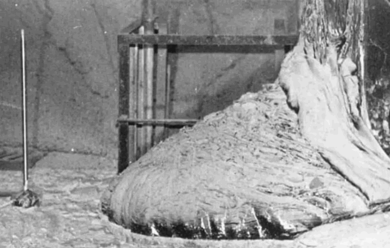 أخطر جسم على وجه الأرض... يمكن أن يقتلك في يومين إذا نظرت إليه لمدة 5 دقائق فقط! (صور)