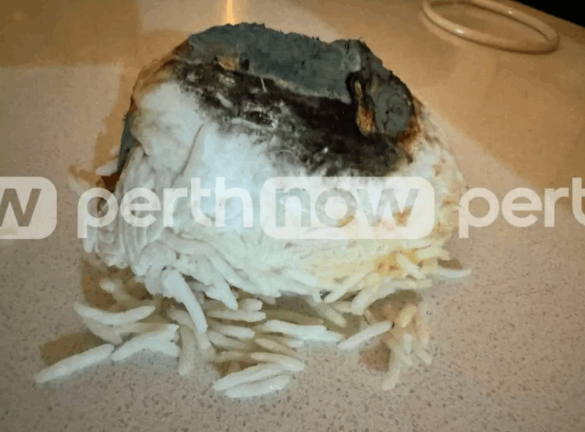  كان هناك دماء ورائحة رطبة قديمة ... ما عثرتا عليه داخل كيس الأرز أرعبهما! (صور)