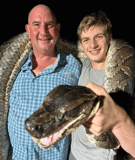  كان رأسها بحجم كرة القدم ... اصطادوا ثعبانا بحجم خيالي: ظنينا أنه تمساح! (صور)