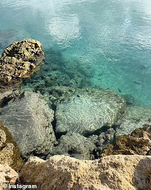 اكتشاف شاطئ أسترالي غير معروف... تعرفوا إلى جنة السباحة ! (صور)