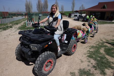 إصابة والدها بالشلل دفعتها لابتكار قطار مميز... براميل بلاستيكية وكلاب مصابة بإعاقة جسدية وهذه التفاصيل!