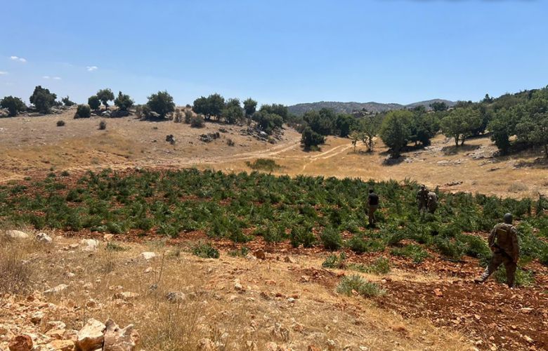 توقيف 4 أشخاص في منطقة بدارو وعند مدخل مخيم نهر البارد وبلدة طاريا