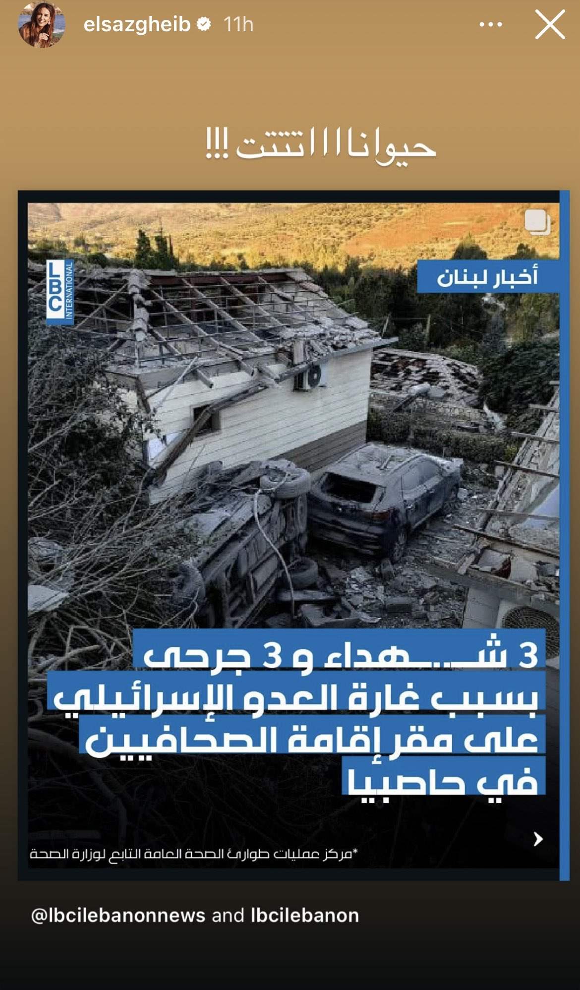 بعد قصف مقر إقامة الصحافيين... بهذه الكلمة علقت إلسا زغيب (صورة)