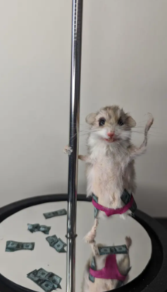 لن تصدقوا ما فعلته بحيوانها الأليف... حنطته ليصبح راقصة تعري ! (صور)