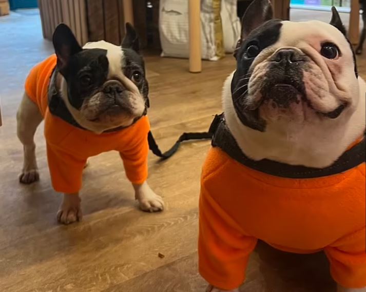 هوسها باللون البرتقالي دفعها للقيام بأمور جنونية... وهذا مصدر إلهامها! (صور)