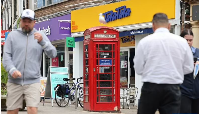 طائر نورس يثير هلع المارة يوميا... تعرفوا على غريغ الجائع ! (صور)