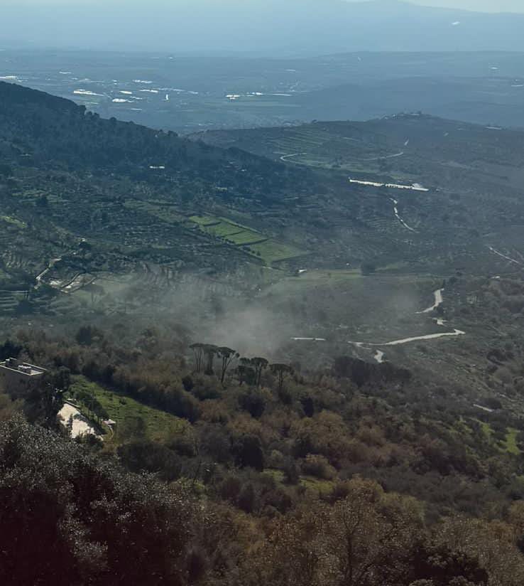 قصف مدفعي على احراج راشيا الفخار