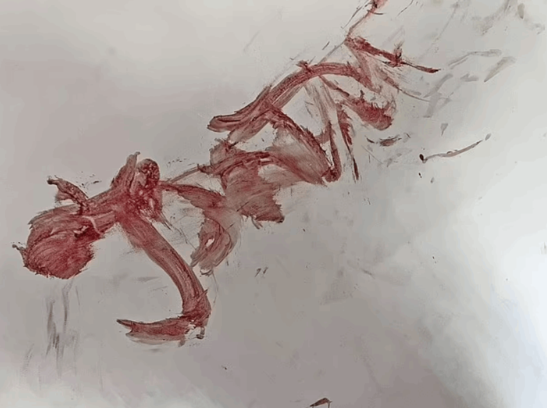 كتبت اسمه بدمها على الحائط حتى لا ينجو بفعلته... قصة حب انتهت بشكل مرعب وهذه تفاصيلها! (صور)