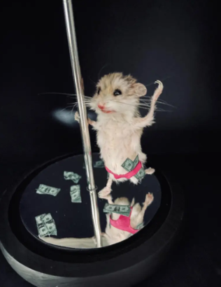 لن تصدقوا ما فعلته بحيوانها الأليف... حنطته ليصبح راقصة تعري ! (صور)