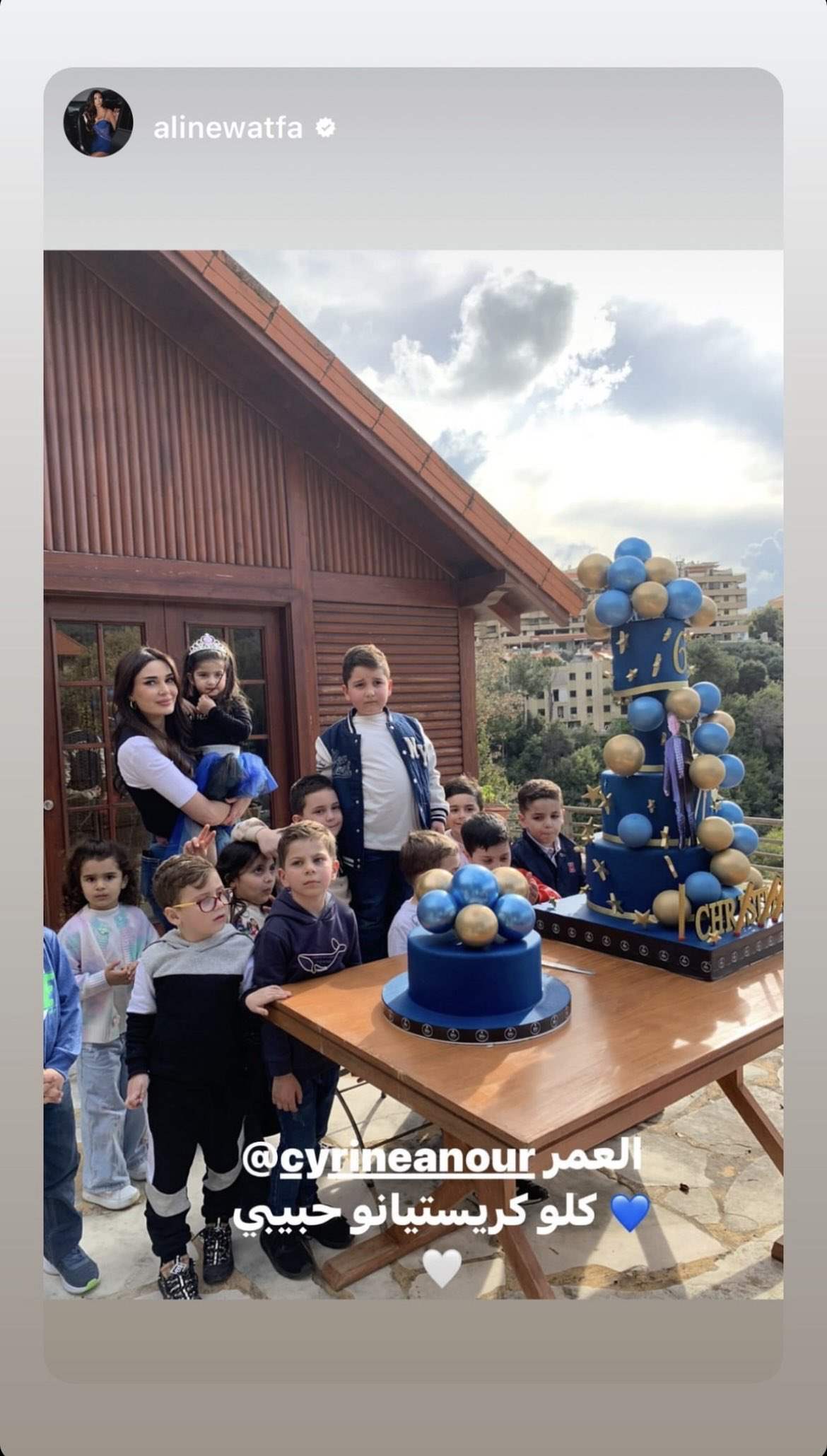 مع قالب حلوى ضخم... هكذا احتفلت سيرين عبد النور بعيد ميلاد ابنها كريستيانو (صور)