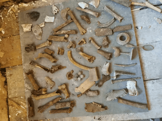 كان يصلح حمام منزل... سباك يعثر على اكتشاف مرعب تحت الأرض! (فيديو)