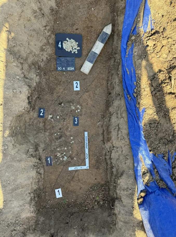 أوروبية تعثر على كنز مدفون... لن تصدقوا ماذا اكتشفت! (صور)