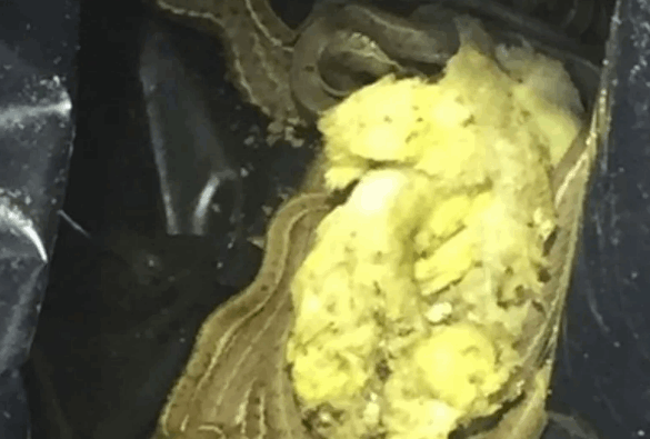  بدأت الرؤوس تظهر بين الشرائح الخشبية .. انتقلا إلى منزل جديد ثم أدركا أنهما ليسا بمفردهما: ما اكتشفاه مرعب! (صور)