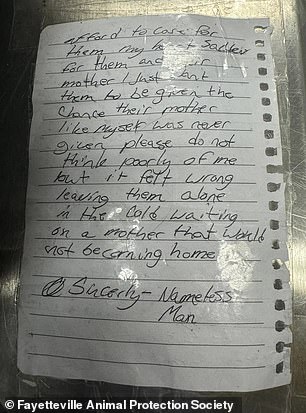 مبادرة إنسانية فريدة من نوعها... أنقذ مجموعة من الجراء في العاصفة وهو في أمس الحاجة إلى مأوى! (صور)