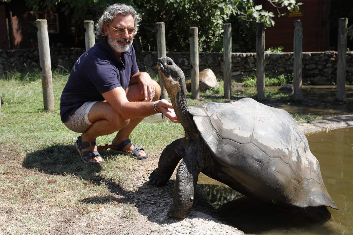 حدث عظيم... ولادة أول سلحفاة عملاقة مهددة بالإنقراض في فرنسا (صور)