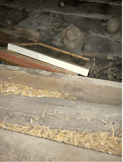 بعد أن عاش 25 سنة في منزله... اكتشف علية مخيفة بالصدفة وهذا ما عثر عليه بداخلها! (صور)