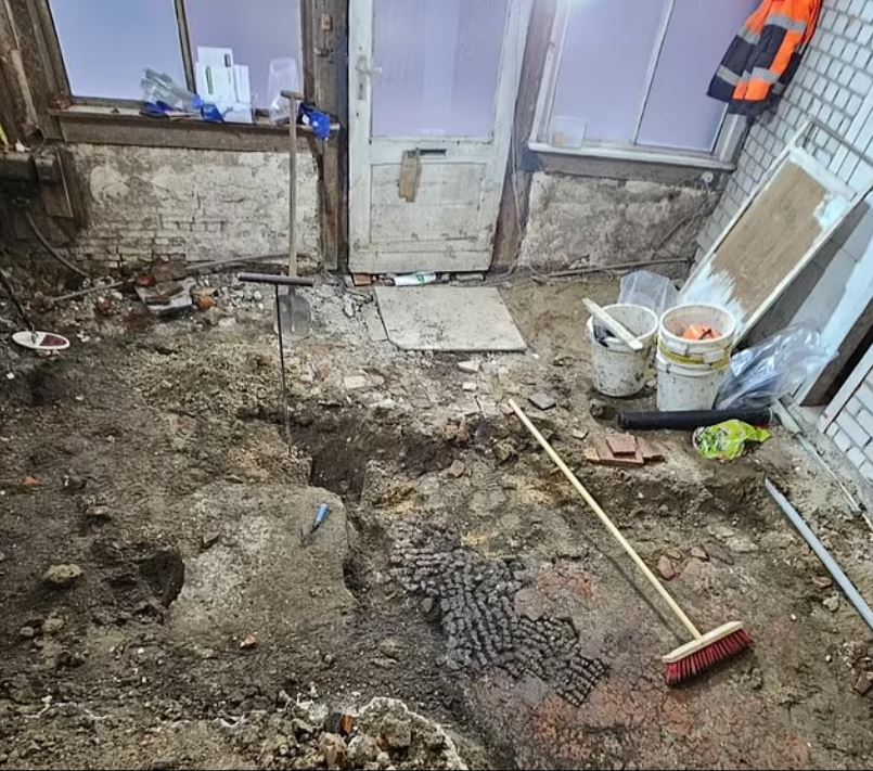 أرضية غامضة مصنوعة من العظام... اكتشاف مذهل بانتظار الخبراء في هولندا (صور)