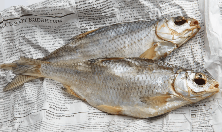 حادث مقرف على متن احدى الطائرات... كانت الديدان تتساقط على رؤوسنا من المقصورة العلوية وما علاقة السمك؟!