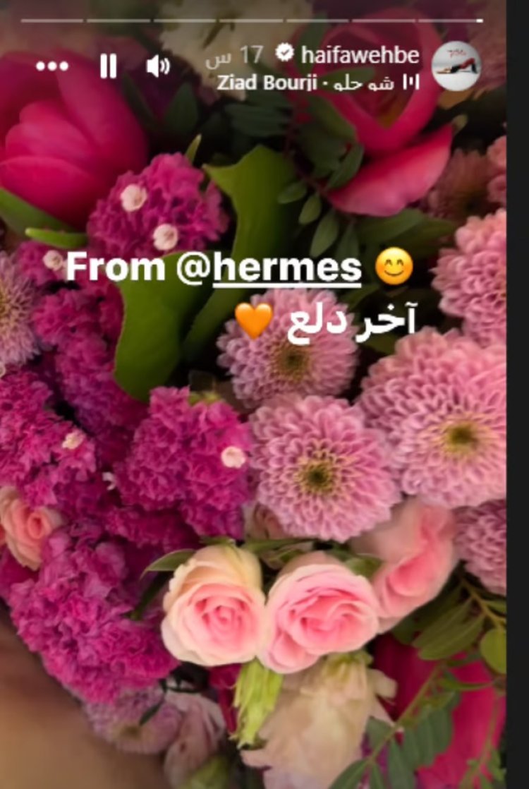 بطريقة مميزة وملفتة... هيرميس تعتذر من الفنانة هيفاء وهبي! (صور)