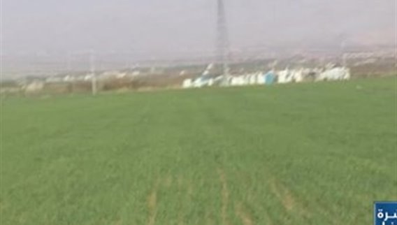 مبادرة زراعية ملفتة... توفير ما يزيد عن 30 الف طن من القمح