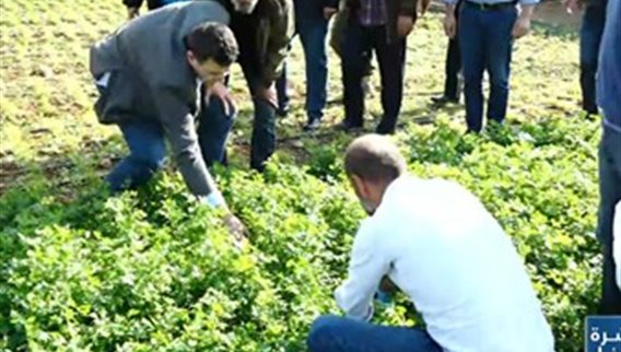 هل المزروعات في لبنان فعلا ملوثة؟ ما الإجراءات المتخذة وهل من خطوات لحل أزمة الكوليرا؟