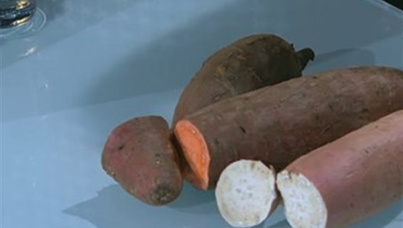 فقرة الزراعة مع وائل زيدان - البطاطا الحلوة 