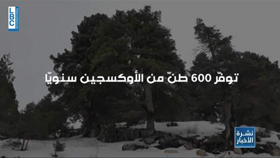 القموعة - عكار.. جوهرة مخفية للسياحة الشتوية!