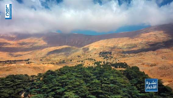 حملة We Miss Lebanon إلى العالمية
