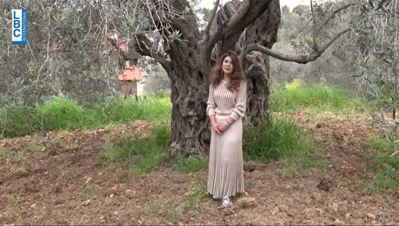 Lebanese olive oil brand Darmmess wins gold medal in a global competition in New York