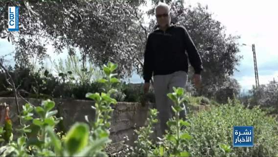 The story behind Mounir and thyme