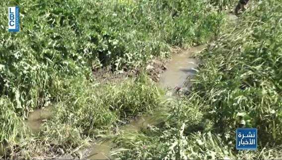 More details about the pollution of Litani River