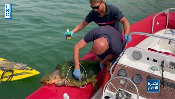 On National Turtle Day calls to preserve this wealth